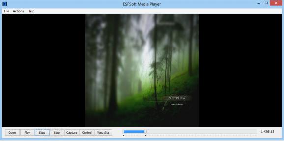 ESFSoft Media Player screenshot