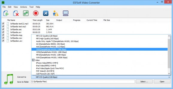 ESFsoft Video Converter screenshot