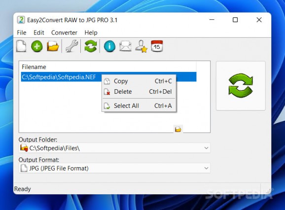 Easy2Convert RAW to JPG PRO screenshot