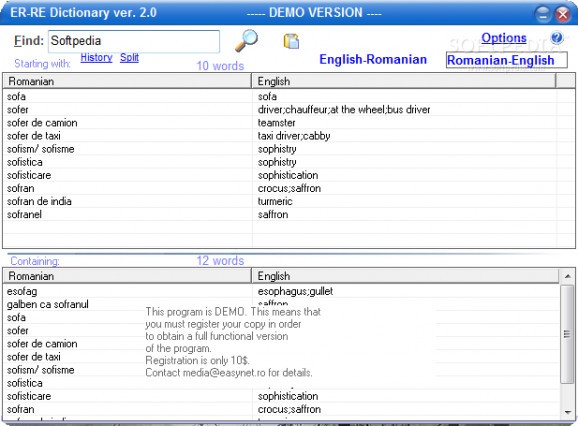 English-Romanian-English Dictionary screenshot