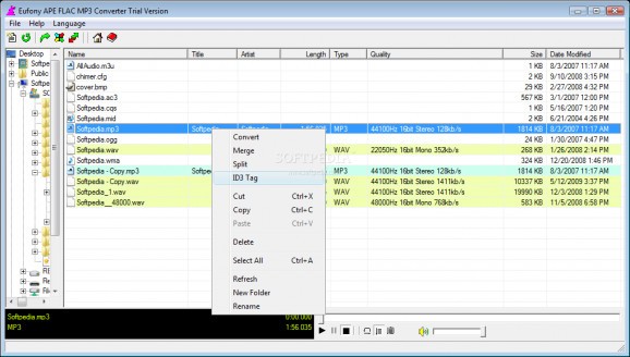 Eufony APE FLAC MP3 Converter screenshot