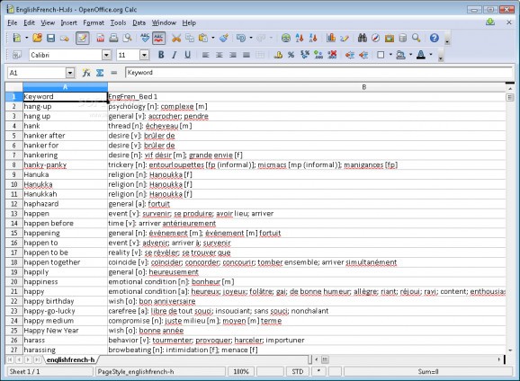 Excel Dictionary English French screenshot
