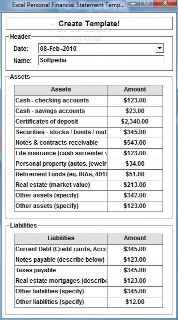 Excel Personal Financial Statement Template Software screenshot