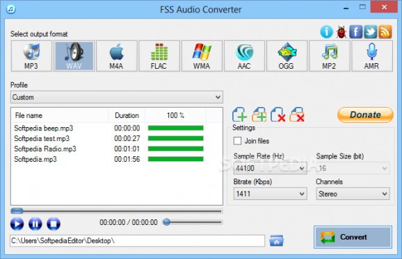 FSS Audio Converter screenshot