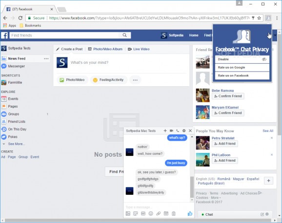 Facebook Chat Privacy for Chrome screenshot