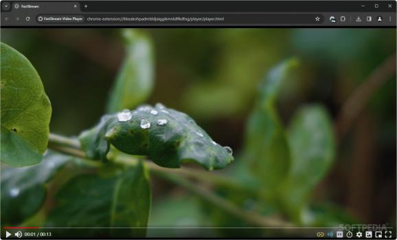 FastStream Video Player for Chrome screenshot