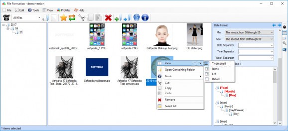File Formation screenshot