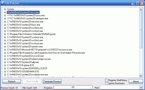 File Process screenshot