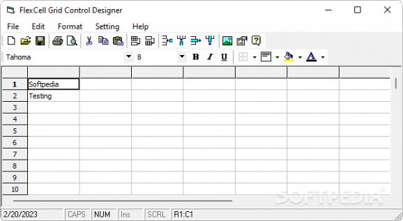 FlexCell Grid Control for ActiveX screenshot