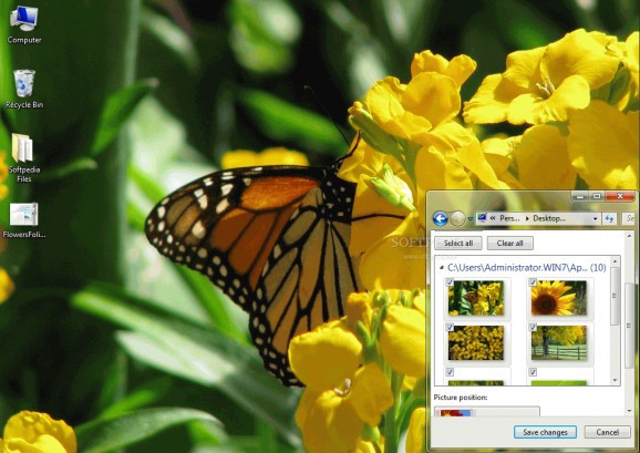 Flowers and Foliage Theme screenshot