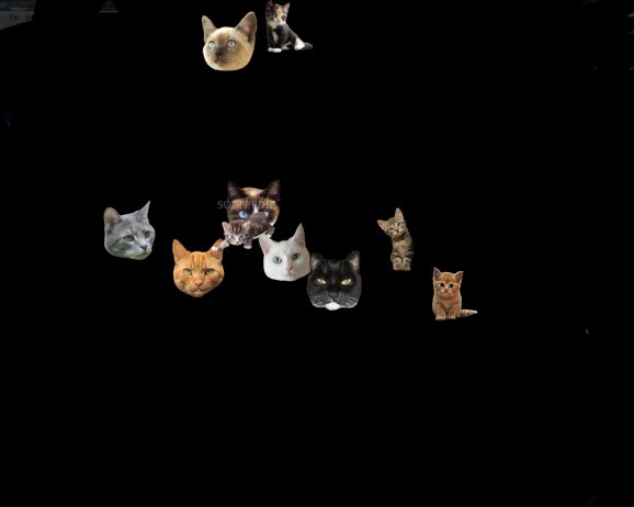 Flying Cats screenshot