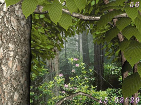 Forest World 3D Screensaver screenshot