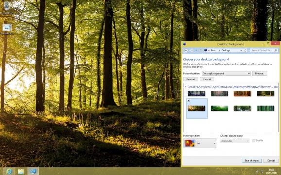 Forests Panoramic Theme screenshot