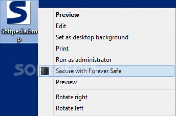 Forever Safe screenshot