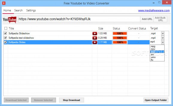 Free Youtube to Video Converter screenshot
