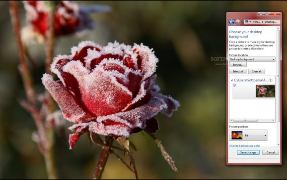 Frozen Rose screenshot