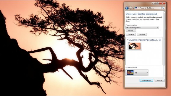 Gnarled Tree screenshot