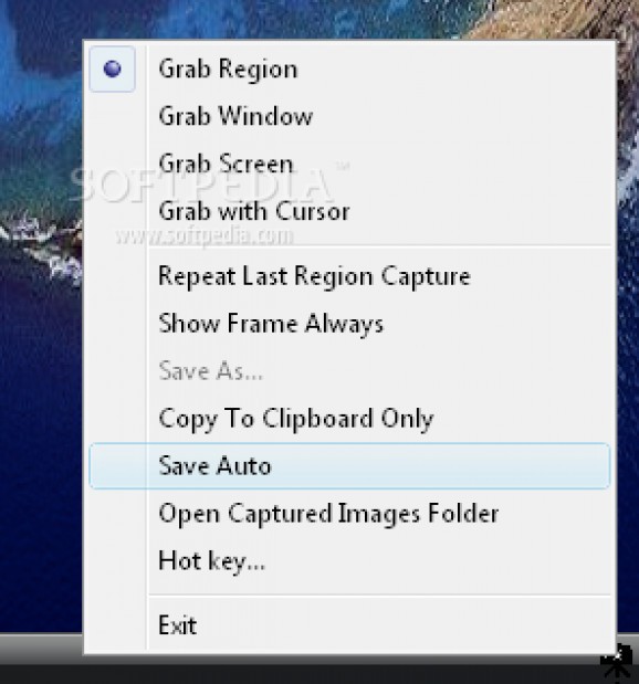 GrabScreen screenshot