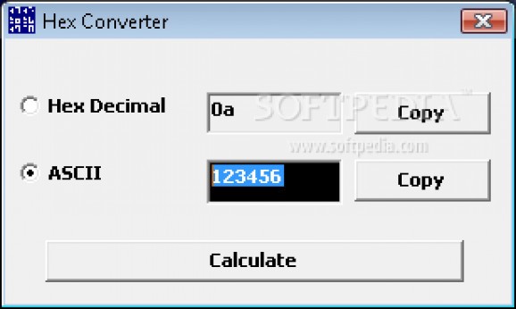 Hex Converter screenshot
