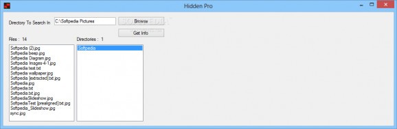Hidden Pro screenshot