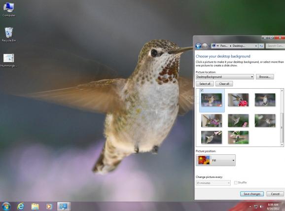 Hummingbirds Theme screenshot