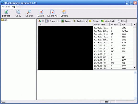 IECacheViewer Basic screenshot