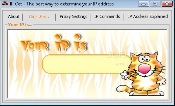 IP Cat screenshot