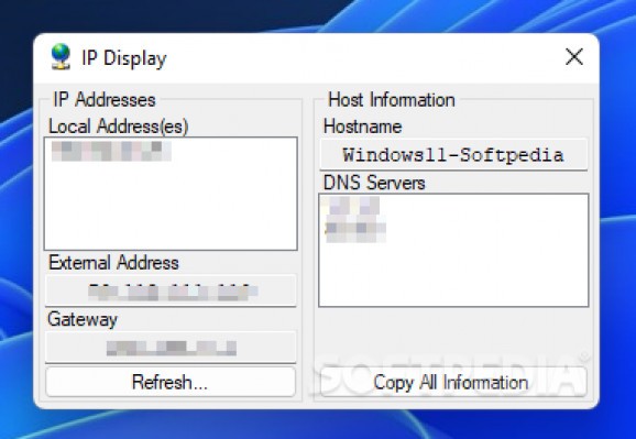 IP Display screenshot