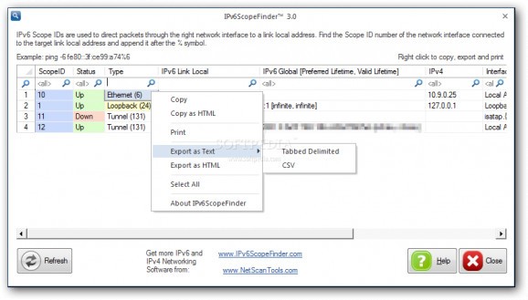 IPv6ScopeFinder screenshot