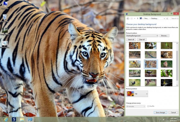 Indian Wildlife Theme screenshot