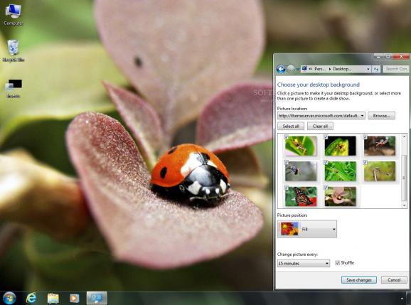 Insects Dynamic Theme screenshot