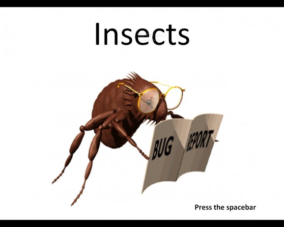Insects screenshot