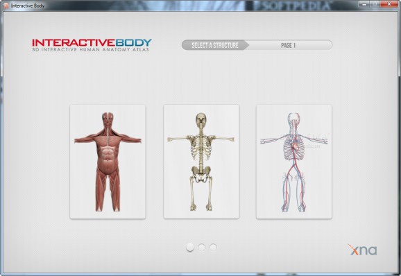 Interactive Body screenshot