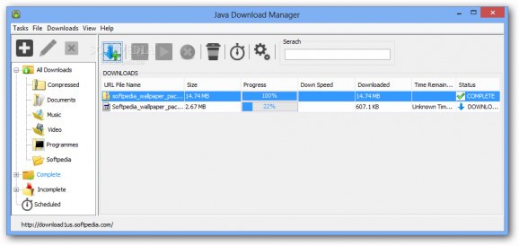 Java Download Manager screenshot