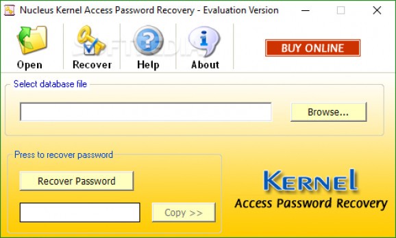 Nucleus Kernel Access Password Recovery screenshot