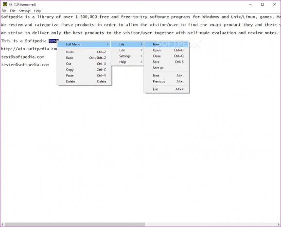 Kinesics Text Editor screenshot