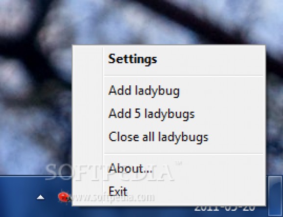 Ladybug on Desktop screenshot