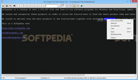 Large Text File Viewer screenshot