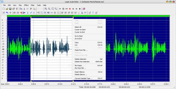 Leapic Audio Editor screenshot