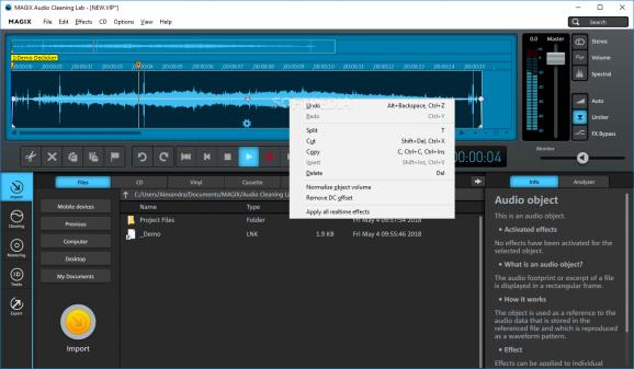 MAGIX Audio Cleaning Lab screenshot