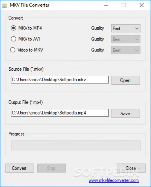 MKV File Converter screenshot