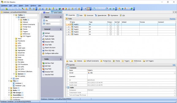 MS SQL Maestro screenshot
