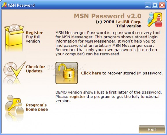 MSN Messenger Password screenshot