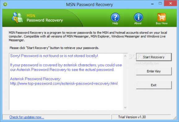 MSN Password Recovery screenshot