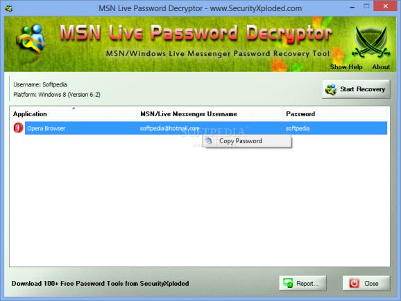 MSN Live Password Decryptor Portable screenshot