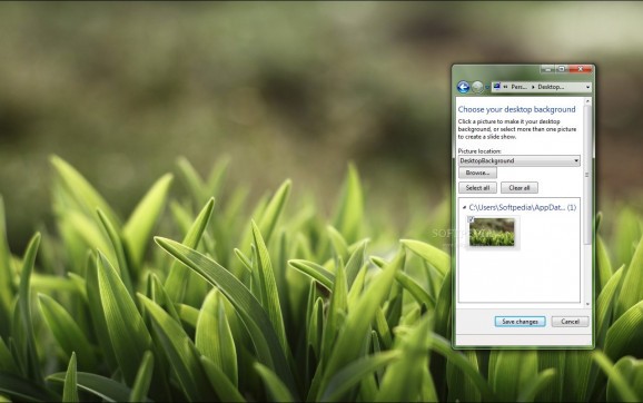 Macro Grass screenshot