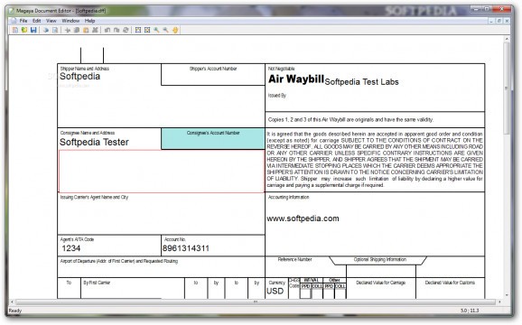 Magaya Document Editor screenshot