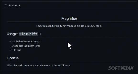 Magnifier screenshot