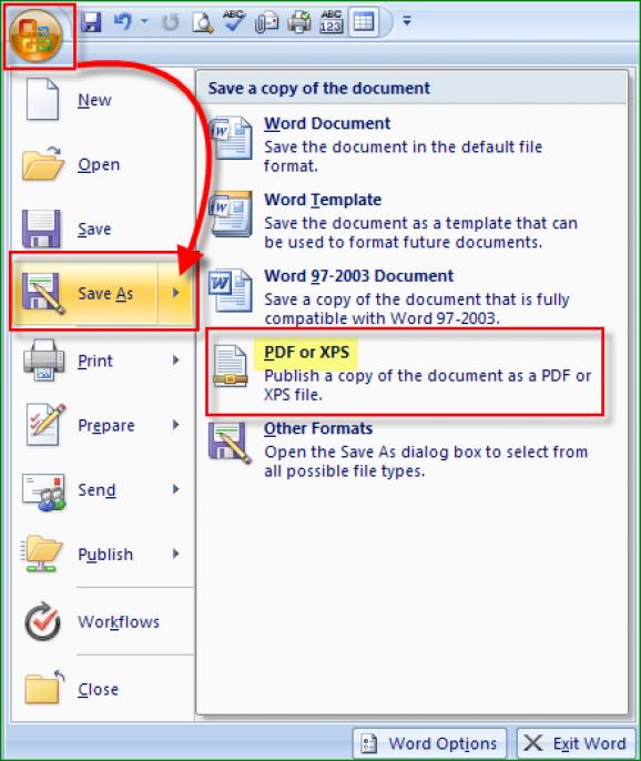 Microsoft Save as PDF or XPS screenshot