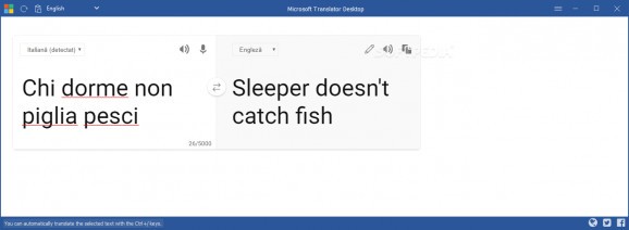 Microsoft Translator Desktop screenshot